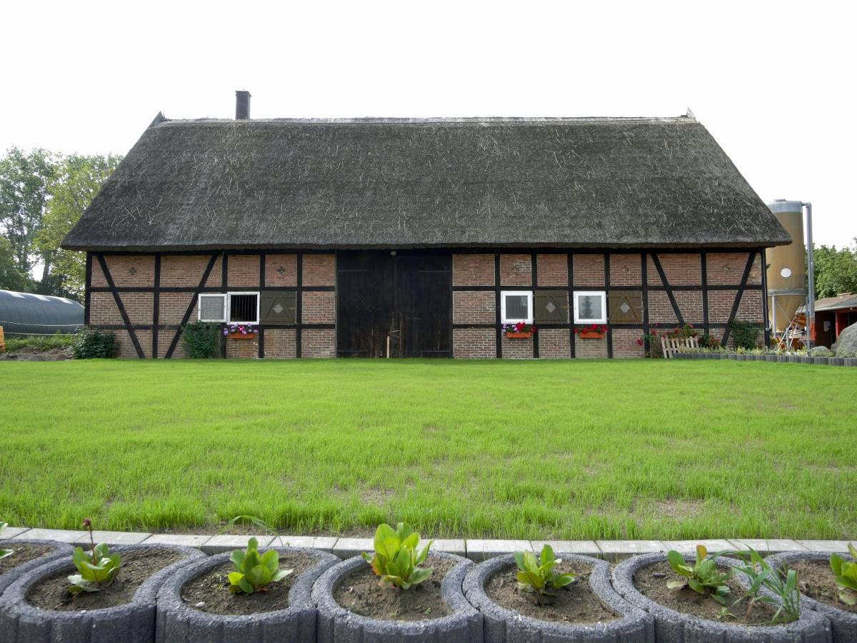 Ferienwohnungen Am Reiterhof Sallenthin Neu Sallenthin Экстерьер фото